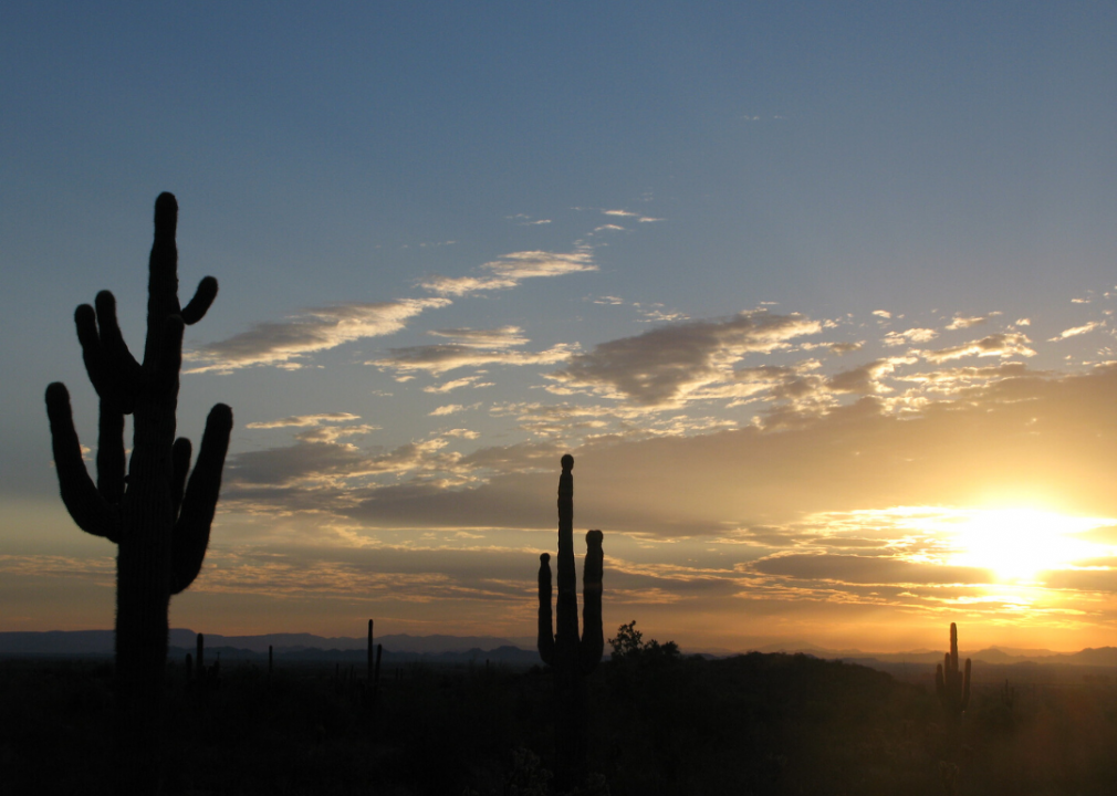 #19. Sun City West, Arizona